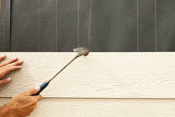 Best Siding Removal and Disposal  in Petaluma, CA